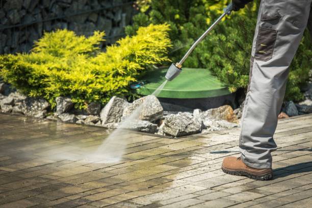 Best Pre-Holiday Cleaning  in Dryden, MI