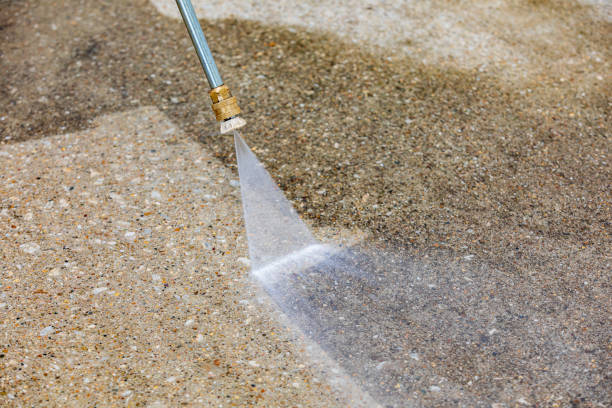 Professional  Pressure Washing Services in Dryden, MI