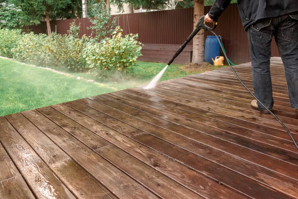 Best Animal Enclosure Cleaning  in Dryden, MI