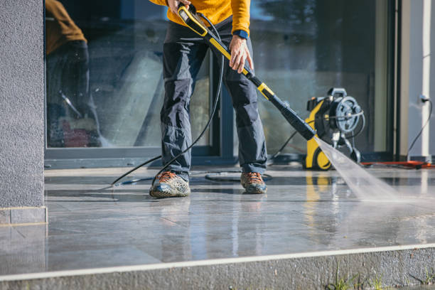 Best Fence Cleaning  in Dryden, MI