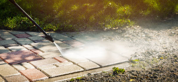 Best Pool Deck Cleaning  in Dryden, MI
