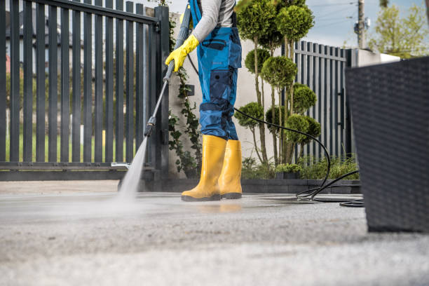 Best Building Exterior Washing  in Dryden, MI