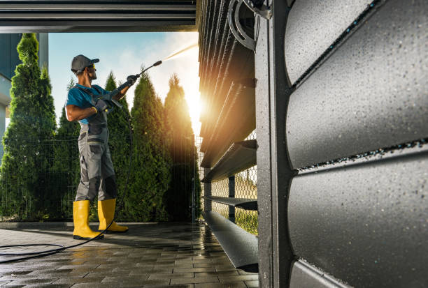 Best Roof Washing  in Dryden, MI