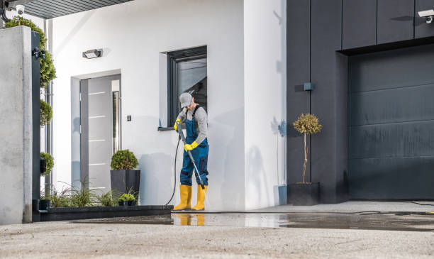 Best Spring Cleaning  in Dryden, MI